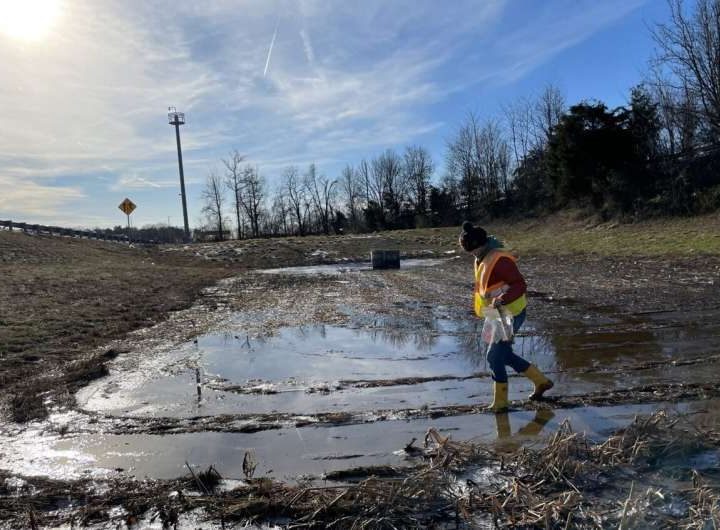 Study reveals native plants’ role in managing road salt pollution