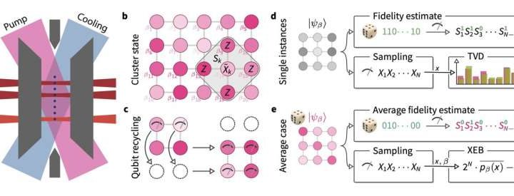 Trapped-ion processor demonstrates verifiable quantum random sampling