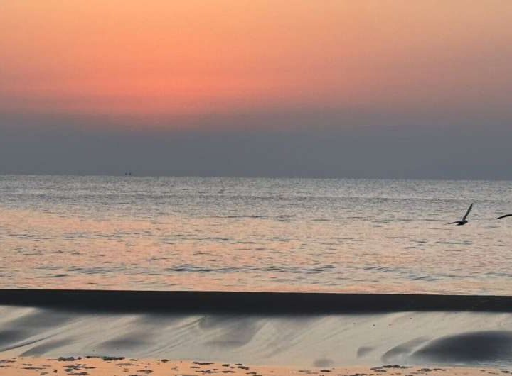 New method estimates Atlantic freshwater transport across latitudes