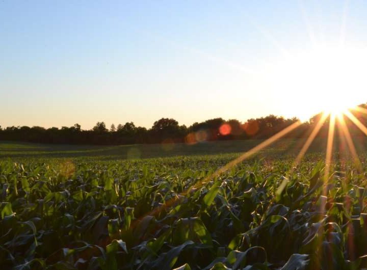 Nearly 100 acres of agriculture land slated for community solar development in Maryland