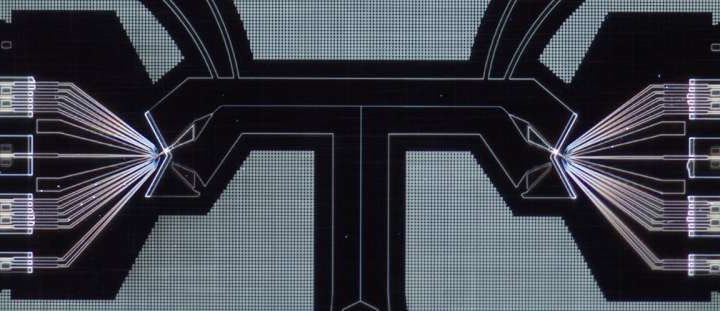 The first observation of time-domain oscillations between two distant semiconductor spin qubits