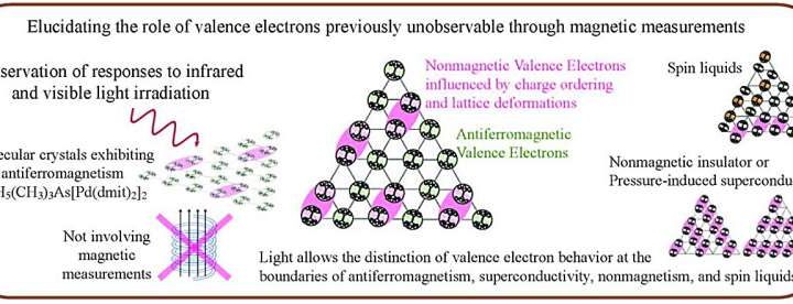 Valence electrons’ role in magnetism of molecular crystals explored