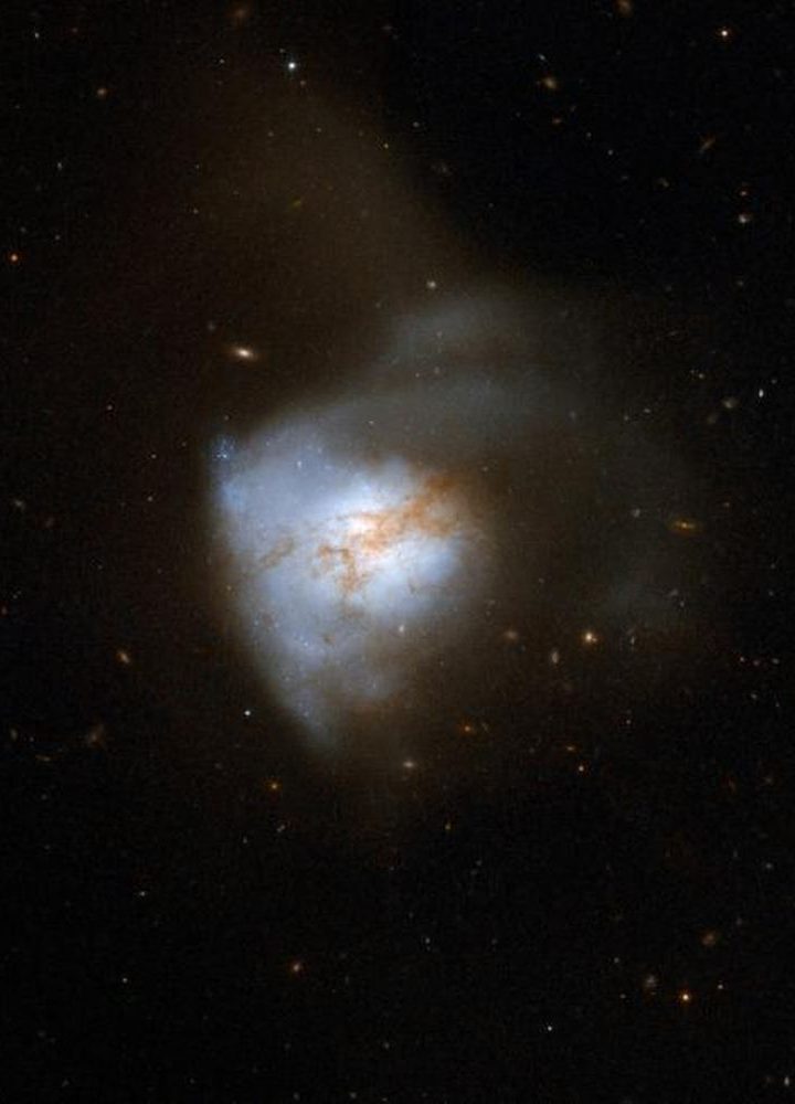 Star Formation Might Depend on Galactic Magnetic Fields