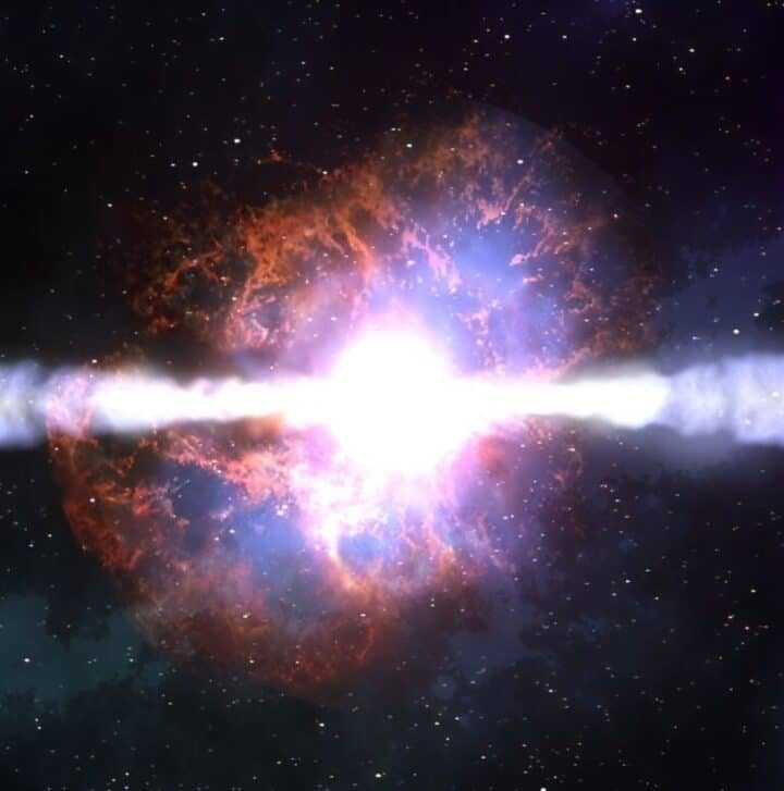 How a Supernova 6 Million Years Ago May Have Kicked Evolution into Overdrive