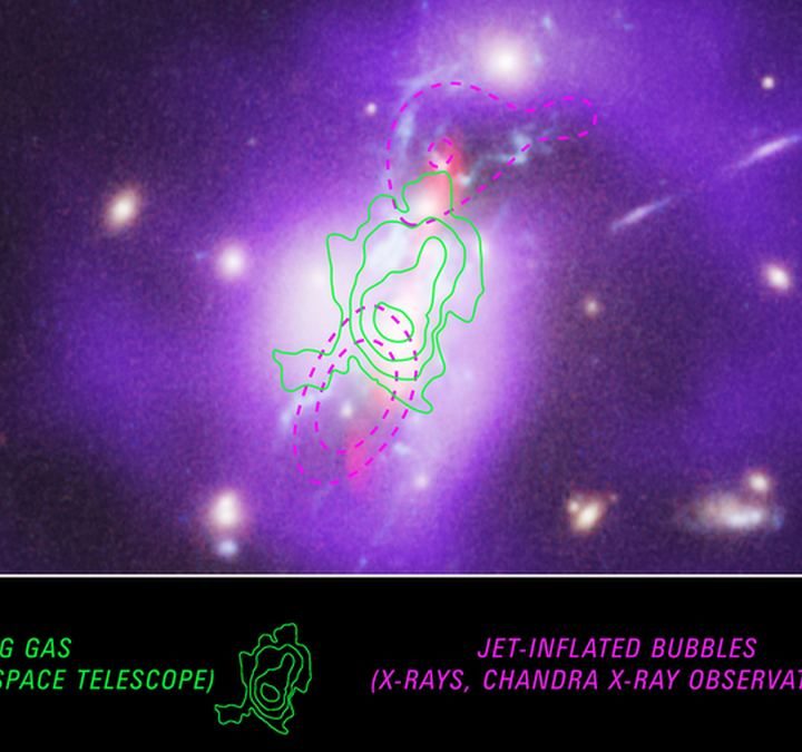 This Ancient Galaxy Cluster is Still Forming Stars When it Should be ‘Red and Dead’