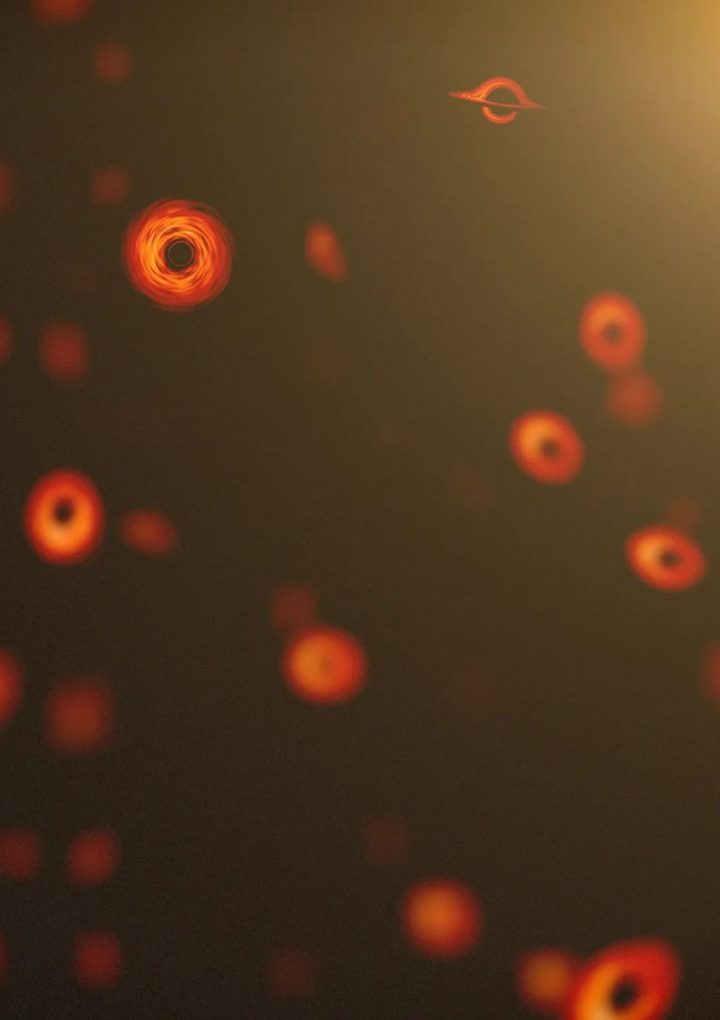 What Would Happen if a Tiny Black Hole Passed Through Your Body?