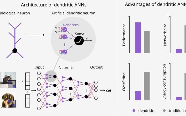A brain-inspired AI technology boosts efficiency and reduces energy consumption