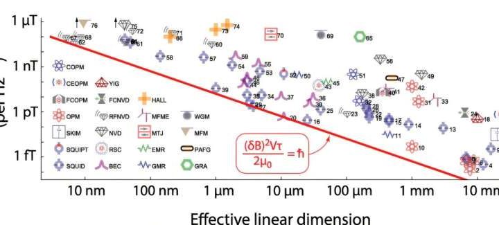 Certain animal navigation abilities found to operate at or near quantum limit of magnetic field detection