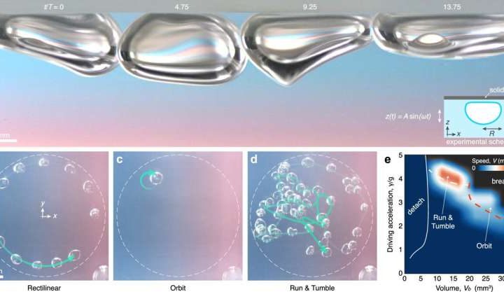 Bubbles that break rules: A fluid discovery that defies logic