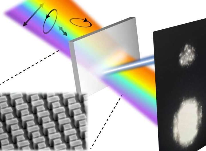 Collection of tiny antennas can amplify and control light polarized in any direction