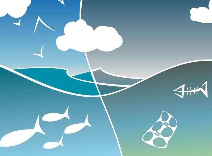 Make a noise or work with the system? Four ways to create real change for nature