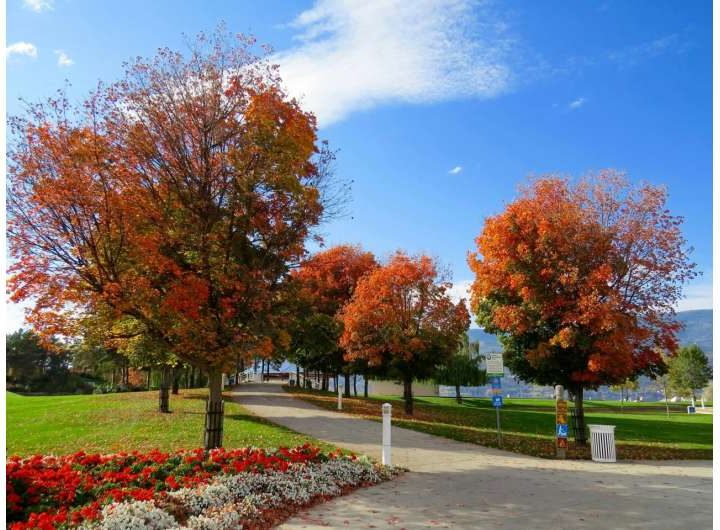 Nature and shops: Here’s what people told us they want most from urban planning