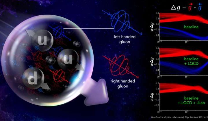 Homing in on ∆g: Study nearly nixes negative gluon spin