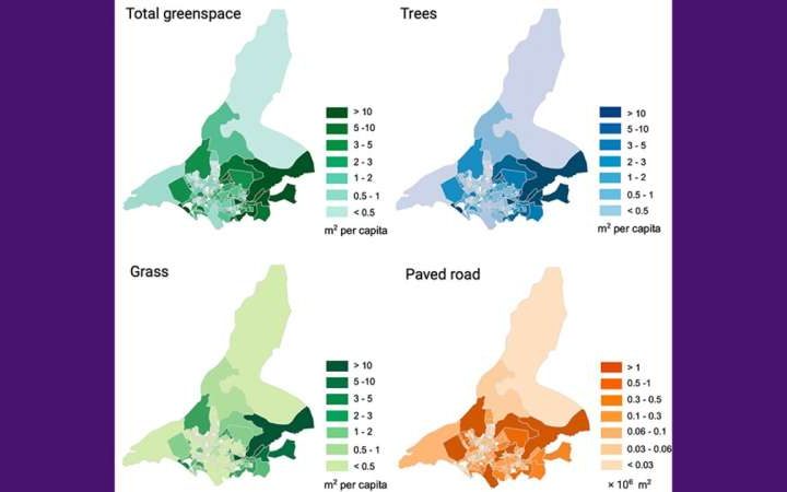 AI system accurately maps urban green spaces, exposing environmental divides