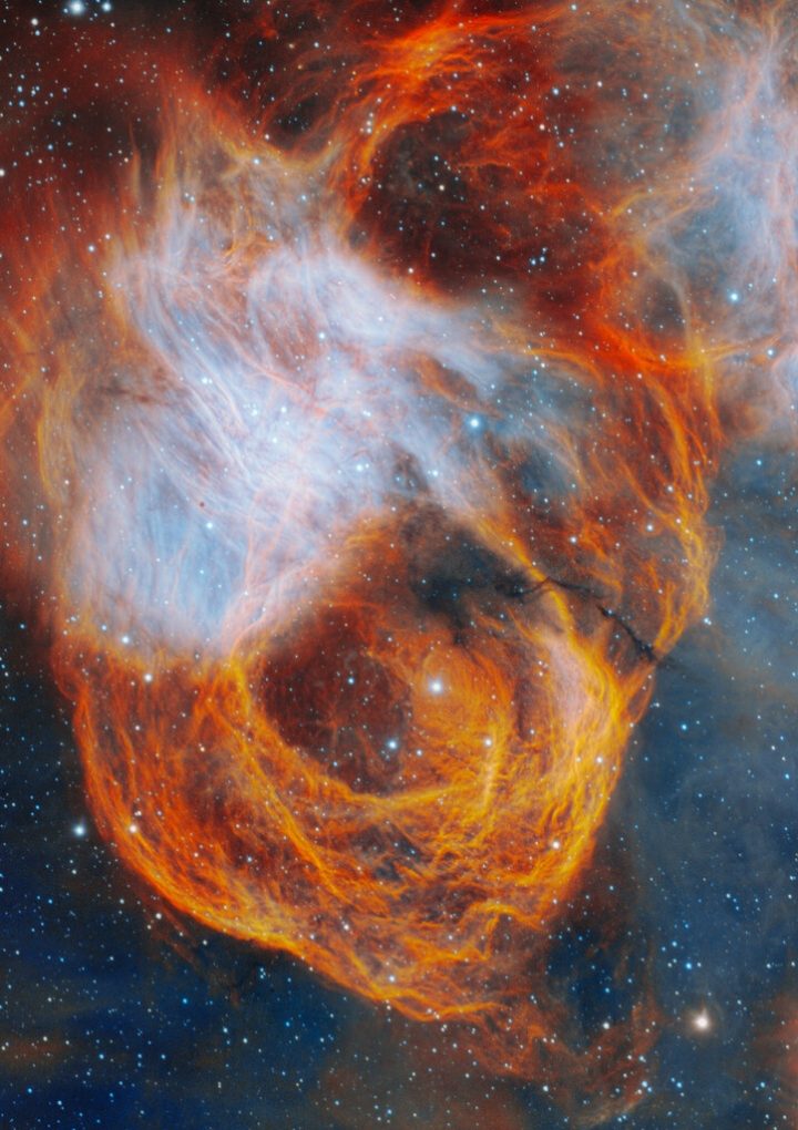 A Flaming Flower in the Large Magellanic Cloud