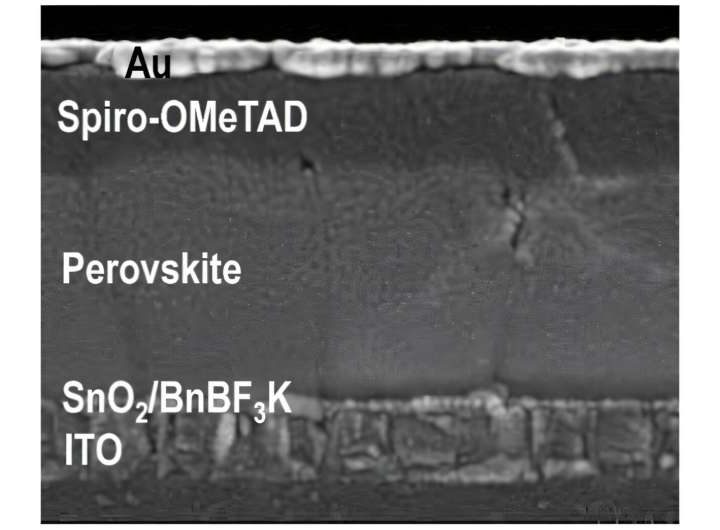 New bifacial linker enhances adhesion in flexible solar cells