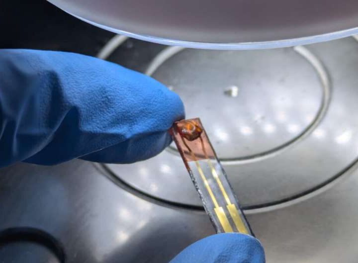 Recyclable artificial vision system uses honey as an electrolyte