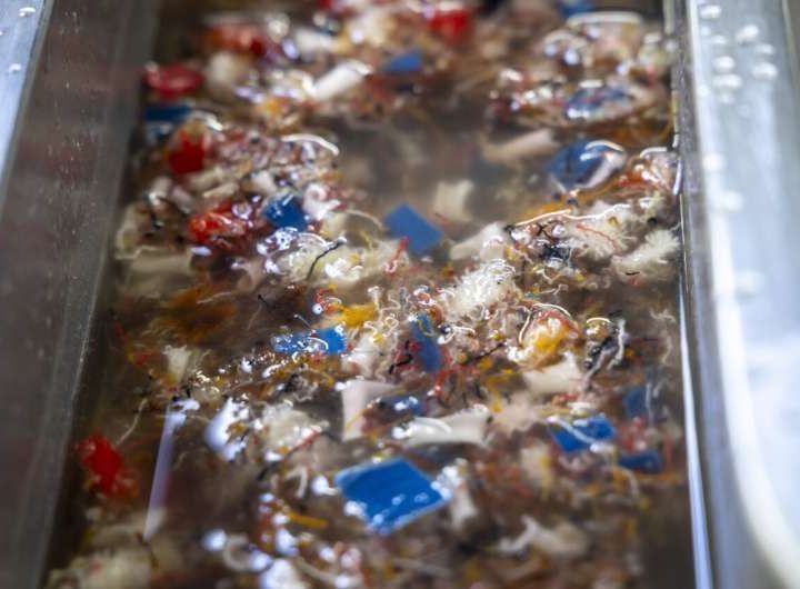 Researchers transform textile waste into stronger recycled paper