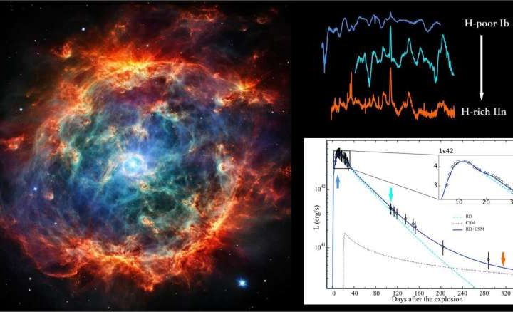 A rare type of supernova: Researchers reveal its explosion mechanisms