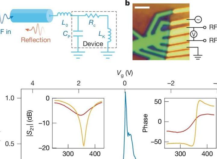 Searching for a universal principle for unconventional superconductivity