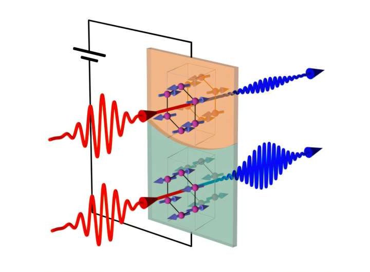 A novel technique for identifying magnetic ordering in antiferromagnets