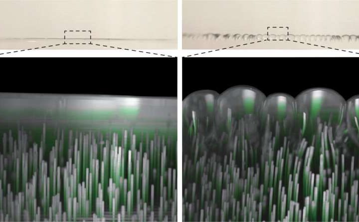 Study unveils new extrusion-induced instabilities in viscoelastic materials