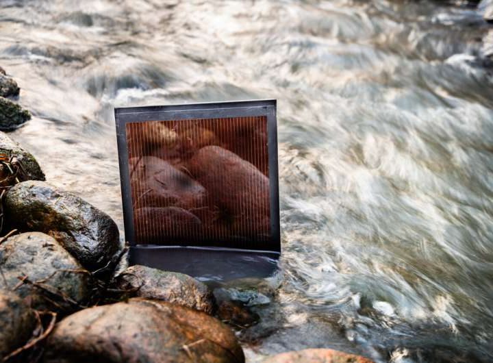 Next-gen solar cells now fully recyclable with water-based method