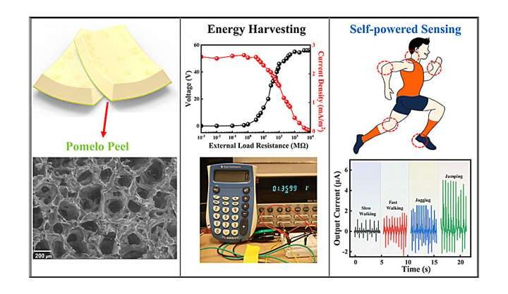 Waste to wealth: Pomelo peel can be used for electricity generation and sensing devices