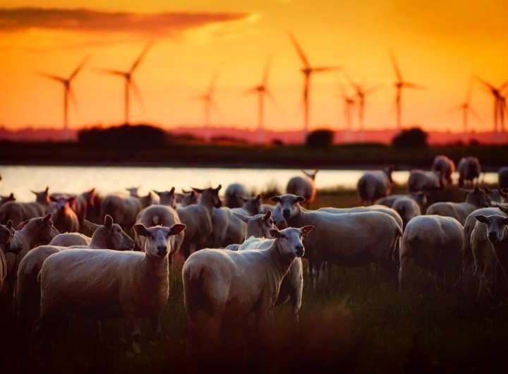 Water-based batteries could be key in helping Canada achieve its net zero goals by 2050. Here’s how