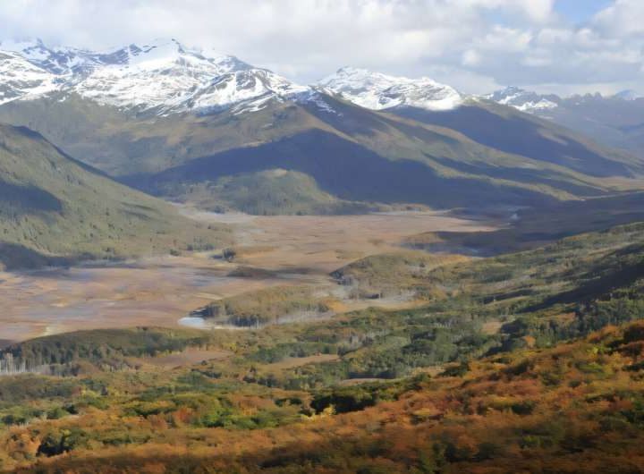 Peatlands store more carbon than forests but face protection shortfall