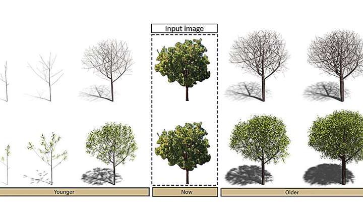A 3D tree reconstruction algorithm contributes to a new era of urban planning
