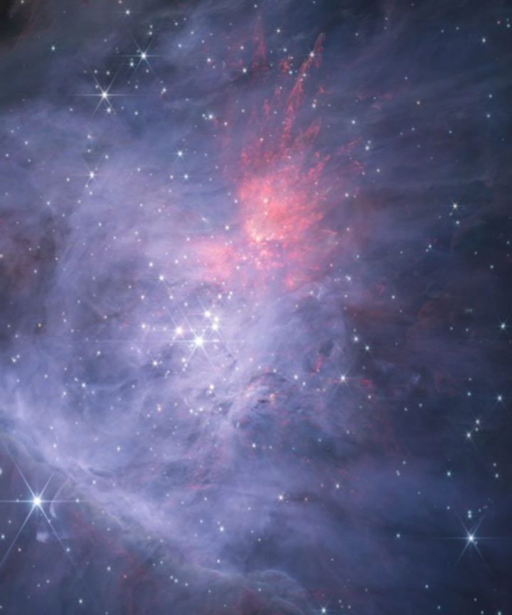 Rogue Planets are Born in Young Star Clusters