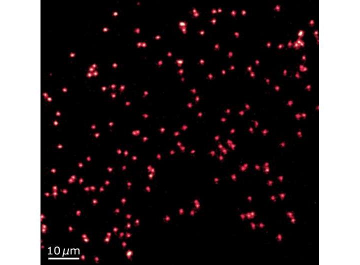 A new protocol to image wave functions in continuous space