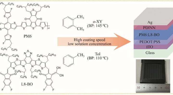 Green solvent innovation: High-speed doctor-blading boosts organic solar cell efficiency