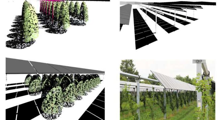 Growing solar: Optimizing agrivoltaic systems for crops and clean energy