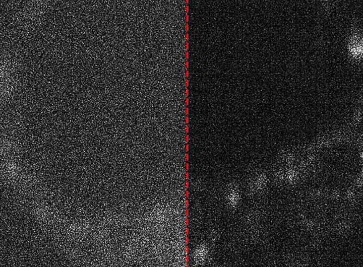 Quantum-inspired cameras capture the start of life