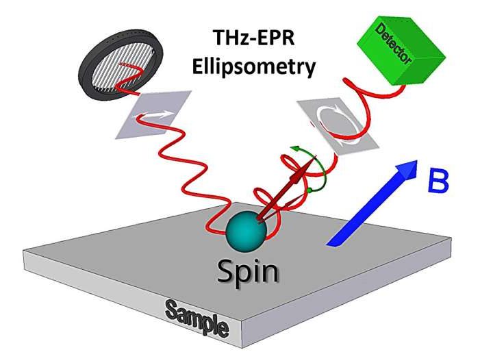 Researchers discover magnetic equivalent of the Lyddane-Sachs-Teller relation