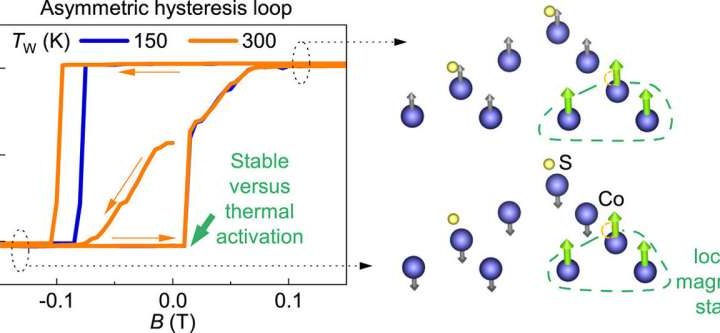 Tunable asymmetric hysteresis loop: Researchers develop method to control magnetic reversal in Weyl semimeta