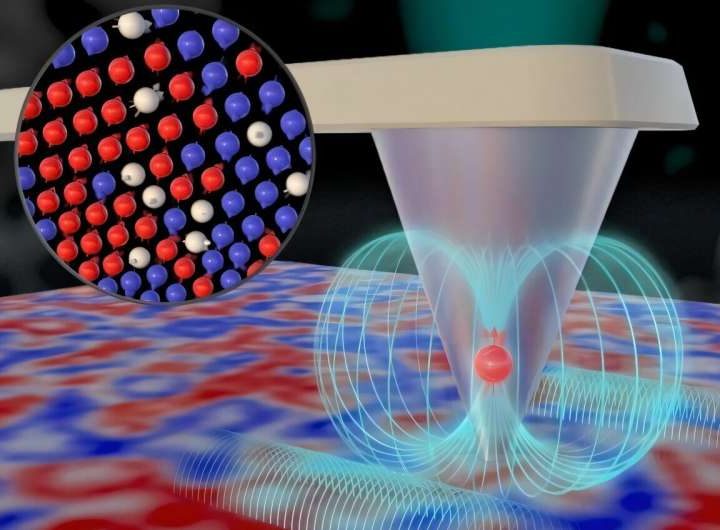 Single-qubit sensing puts new spin on quantum materials discovery