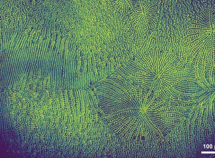 Spinning, twisted light could power next-generation electronics