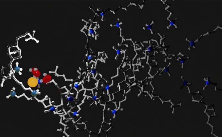 Why more water is not always better in ion-conducting membranes: New insights for clean energy technology