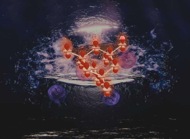 The first comprehensive characterization of unconventional superconductivity arising from multipolar moments