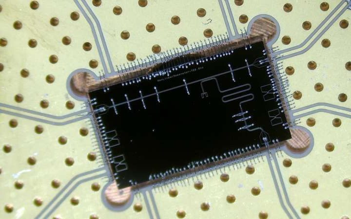 Unlocking the secrets of phase transitions in quantum hardware