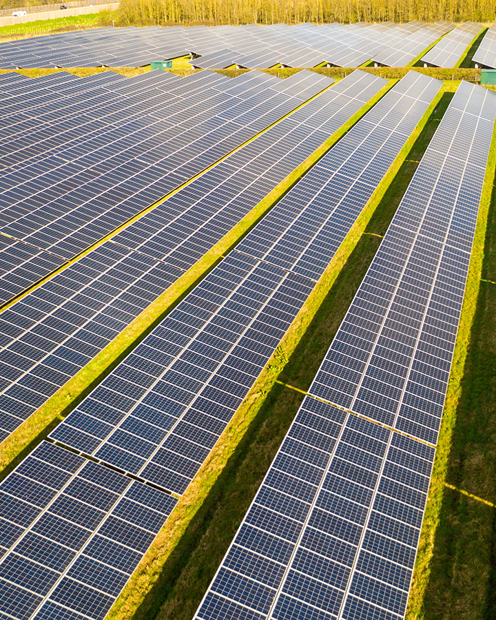 Adding solar panels to farmland can boost both energy and food security, finds study
