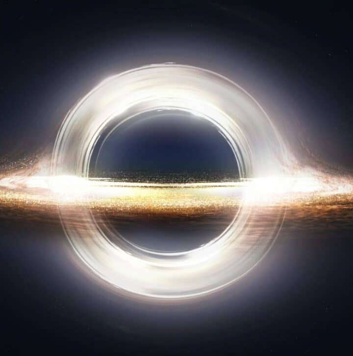 Did Dark Matter Shape the Massive Black Holes of the Early Universe?