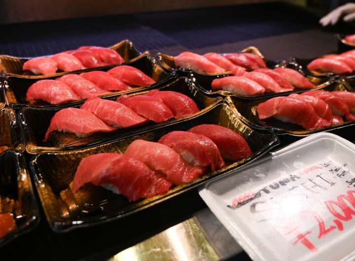 A machine using ultrasound and AI can gauge the fattiness of a tuna fish