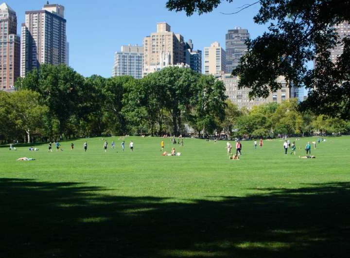 Five ways to make cities more resilient to climate change