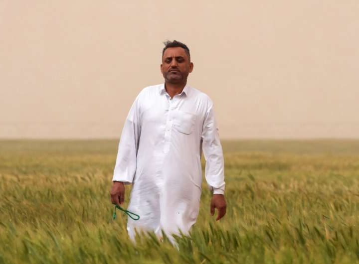 Iraq farmers turn to groundwater to boost desert yield