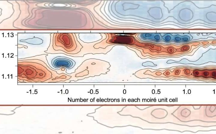 It’s a quantum zoo out there, and scientists just found a dozen new ‘species’