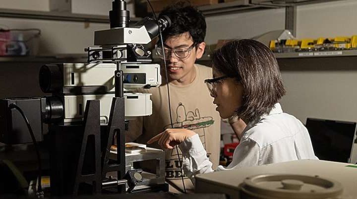 Light signature algorithm offers precise insight on viral proteins, brain disease markers and semiconductors